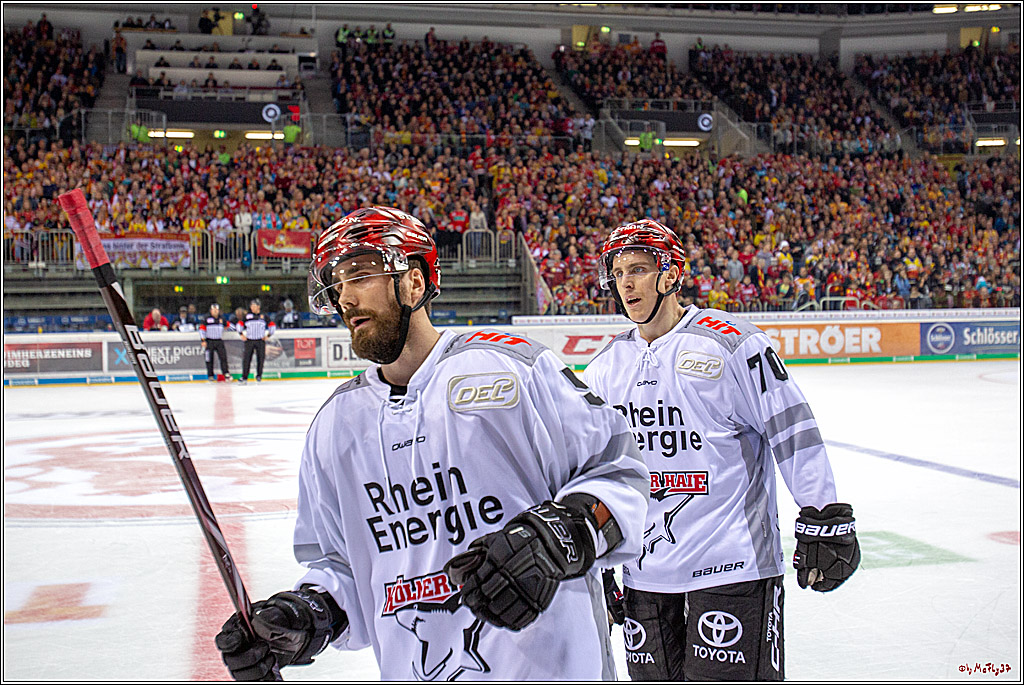 DEL; Duesseldorfer EG - Koelner Haie, 19.10.2018
